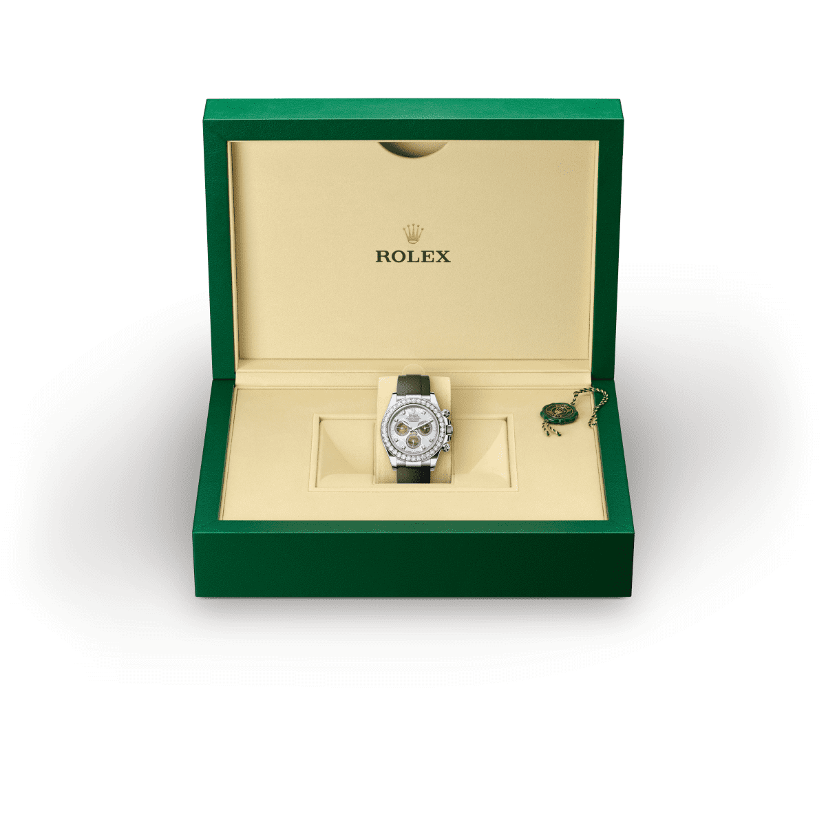 Rolex presentatiedoos