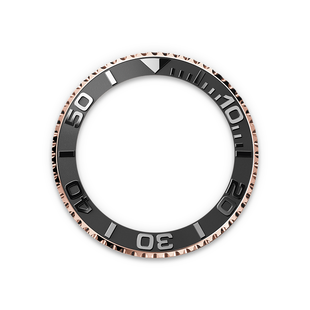 Bidirectioneel draaibare bezel